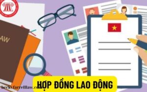 Quy định về hợp đồng lao động (1)