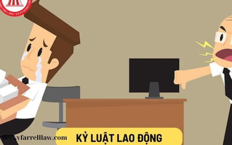 Xử lý vi phạm pháp luật lao động (1)