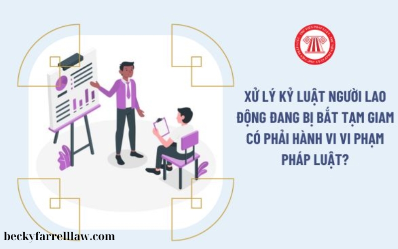 Xử lý vi phạm pháp luật lao động (3)