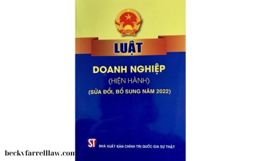 Sách Luật Doanh Nghiệp Bổ Sung (2)